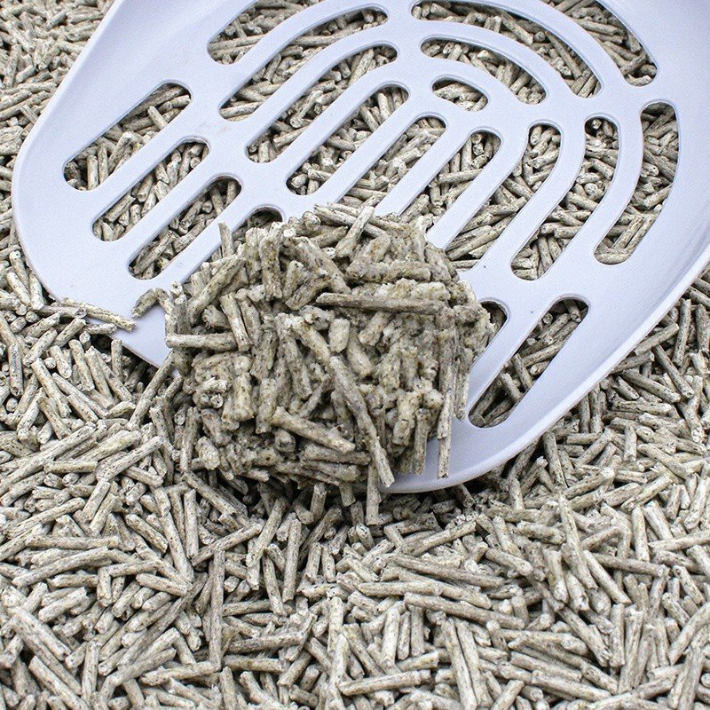 coffee tofu litter